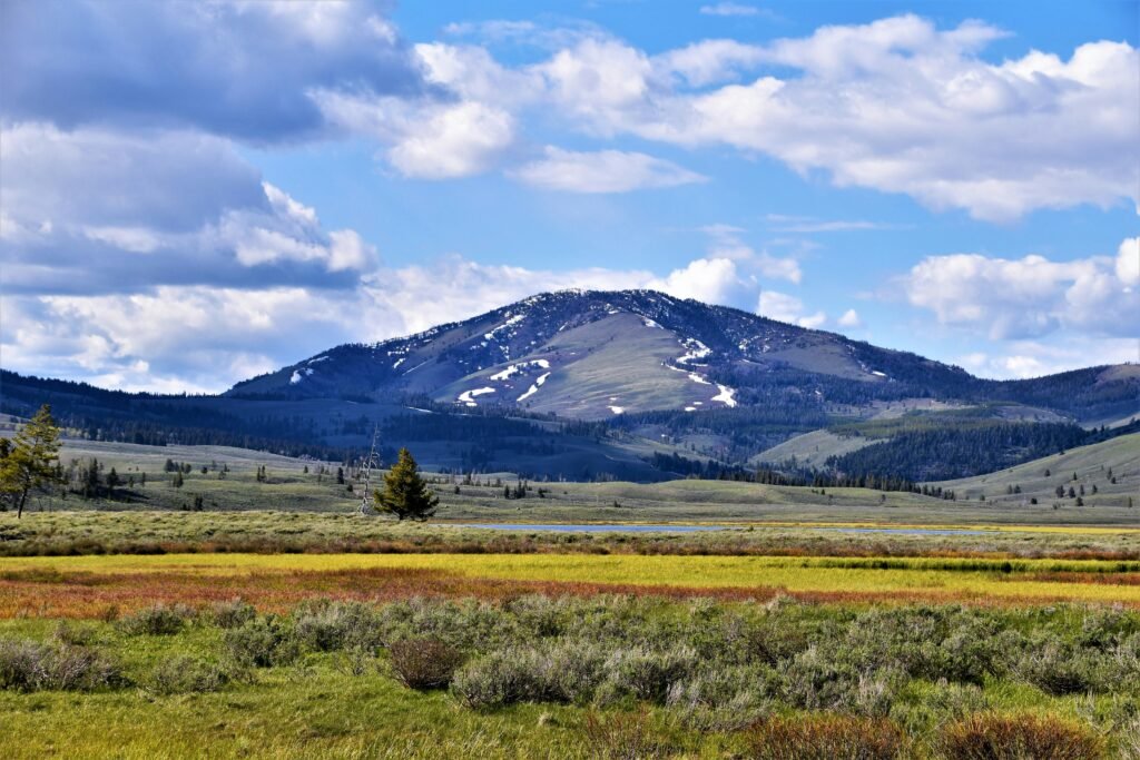 Explore the rolling hills and picturesque views of Gardiner, Montana with vibrant fields under a blue sky.