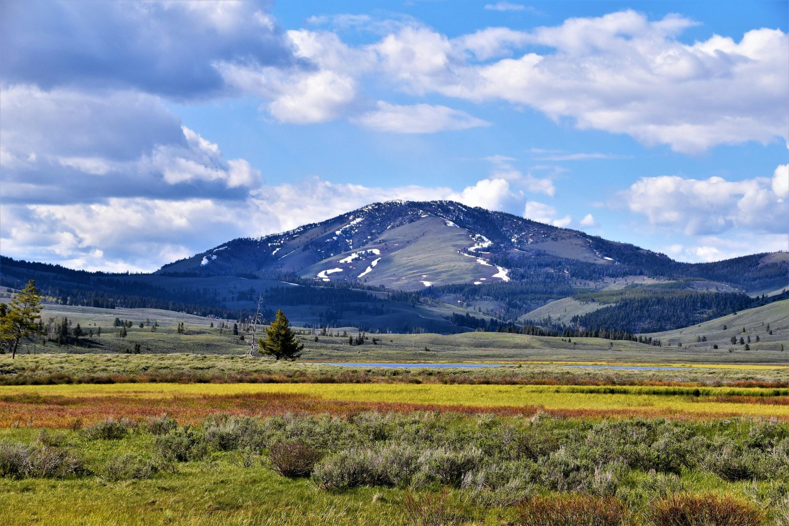 Explore the rolling hills and picturesque views of Gardiner, Montana with vibrant fields under a blue sky.
